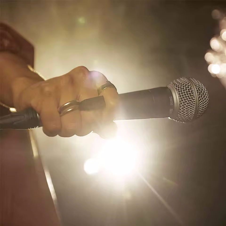 Karaoke Dynamische Microfoon P - Gaming Console Sale recensie en prijs